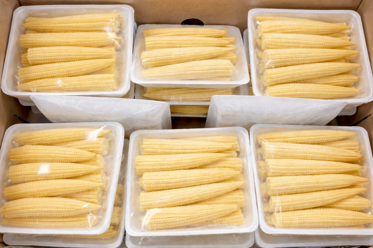 Fresh baby corn wholesale boxes 5kg 10kg